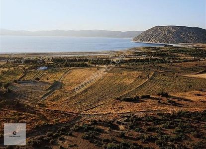 Arsa-Sanayi İmarlı