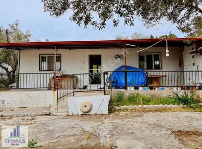 Arsa-Konut İmarlı