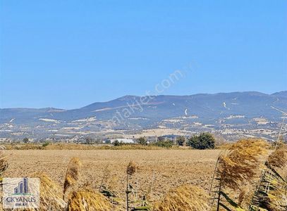 Arsa-Tarla