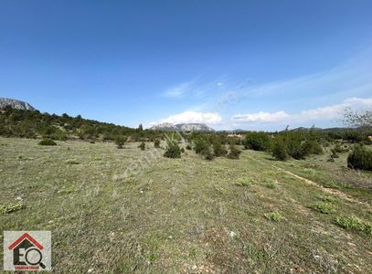 Arsa-Tarla