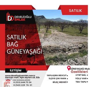 Arsa-Bağ & Bahçe
