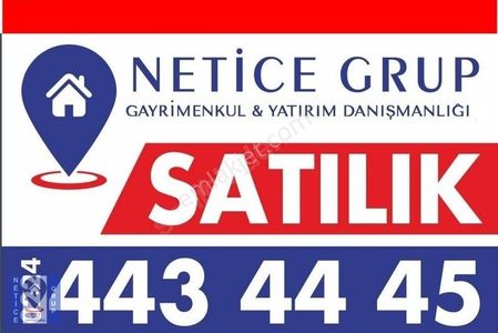 Arsa-Zeytinlik