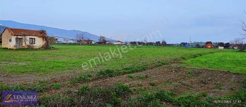 Arsa-Tarla