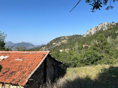 Arsa-Bağ & Bahçe