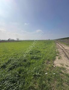 Arsa-Tarla