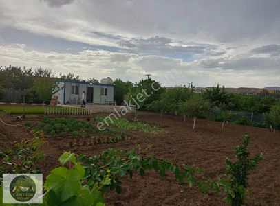 Arsa-Tarla