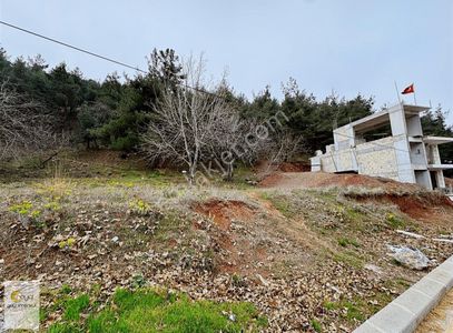 Arsa-Konut İmarlı