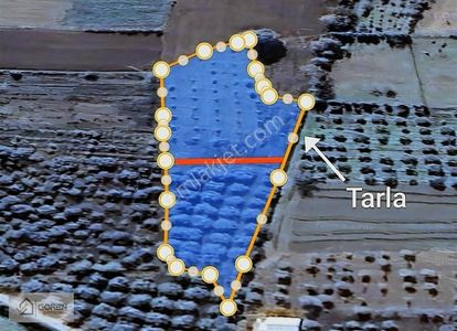 Arsa-Tarla