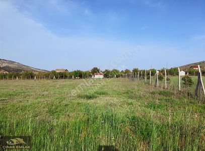 Arsa-Tarla