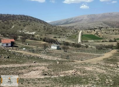 Arsa-Tarla
