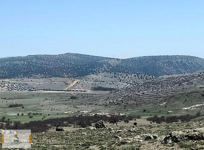 Arsa-Tarla
