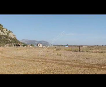 Arsa-Arazi