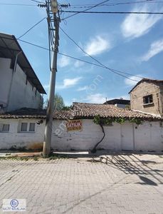 Arsa-Bağ & Bahçe
