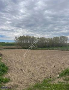 Arsa-Tarla