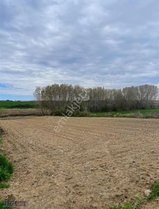 Arsa-Tarla