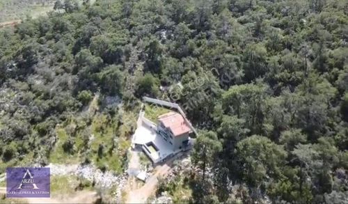 Arsa-Zeytinlik