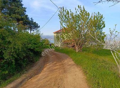 Arsa-Bağ & Bahçe