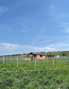 Arsa-Tarla