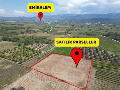 Arsa-Tarla