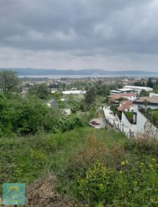 Arsa-Konut İmarlı