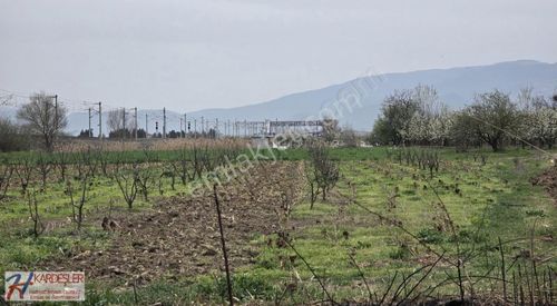 Arsa-Tarla