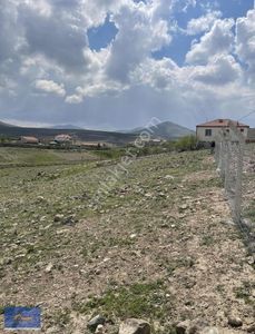 Arsa-Villa İmarlı