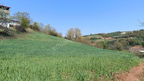 Arsa-Tarla