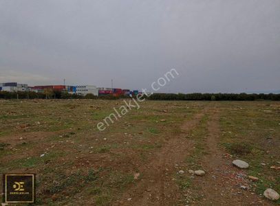 Arsa-Depo, Antrepo İzinli