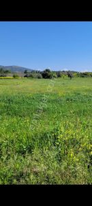 Arsa-Tarla