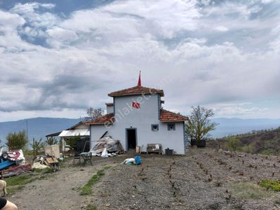 Arsa-Tarla