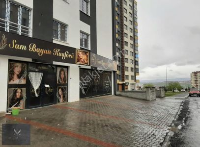İşyeri-Dükkan & Mağaza