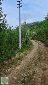 Arsa-Konut İmarlı