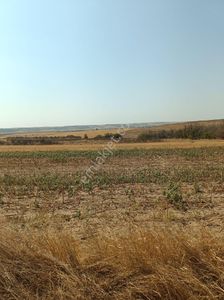 Arsa-Tarla