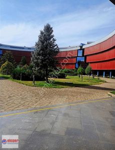 İşyeri-Ofis