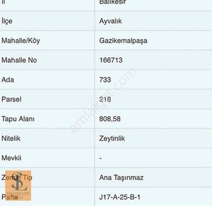 Arsa-Zeytinlik