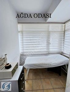 İşyeri-Dükkan & Mağaza