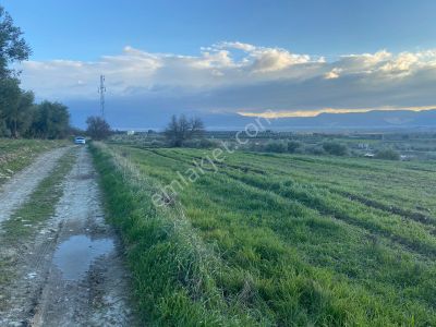 Arsa-Tarla