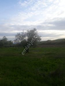 Arsa-Tarla