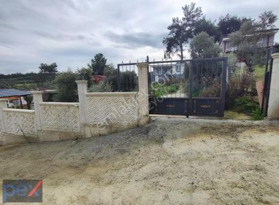 Arsa-Zeytinlik