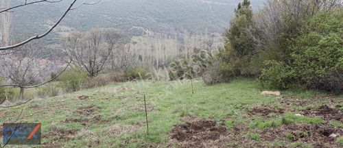Arsa-Konut İmarlı