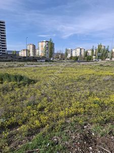 Arsa-Konut İmarlı