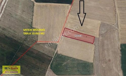 Arsa-Tarla