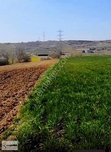 Arsa-Bağ & Bahçe