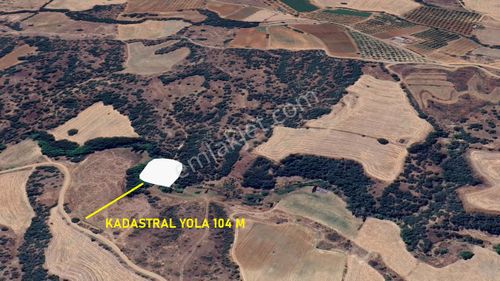Arsa-Tarla