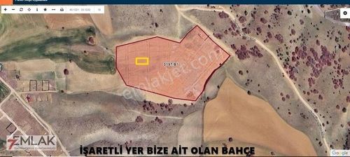 Arsa-Tarla
