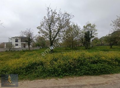 Arsa-Ticari İmarlı