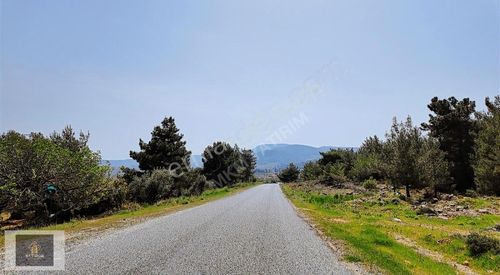 Arsa-Tarla