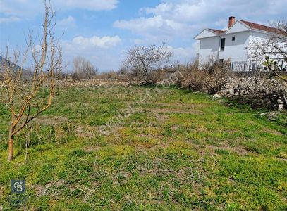 Arsa-Villa İmarlı