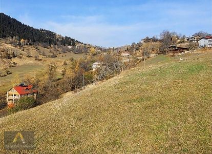 Arsa-Tarla