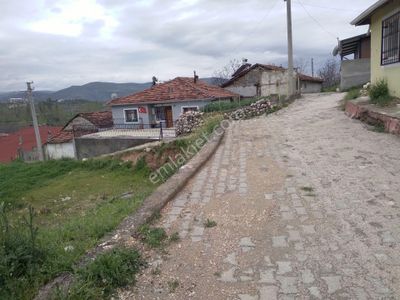 Arsa-Konut İmarlı